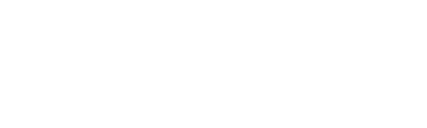 Palmverse Logo